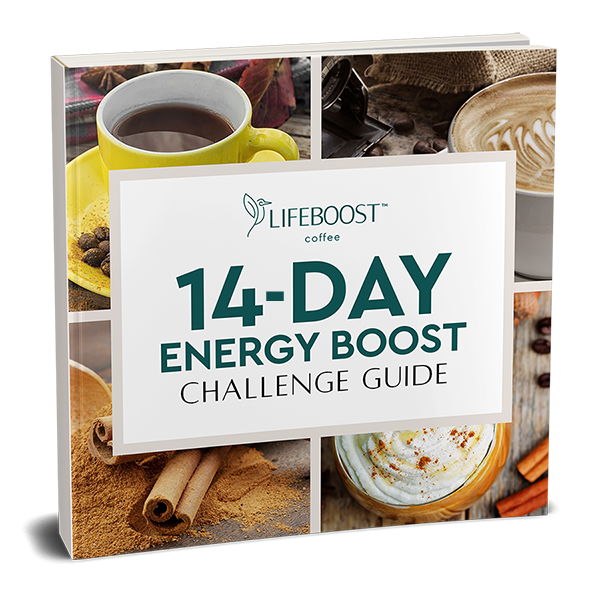 Lifeboost 14-Day Energy Challenge Ebook For Sale