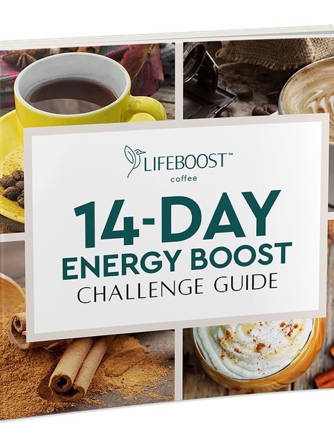 Lifeboost 14-Day Energy Challenge Ebook For Sale